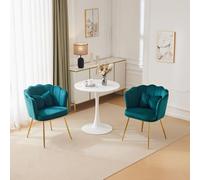 DUlVBPE Juego de 2 sillas de salón de terciopelo modernas, sillas de baño, sillas acolchadas con respaldo de pétalos, patas de metal doradas y cojines de mariposa para dormitorio, comedor