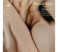 Dumb Flesh by Blanck Mass (2015-08-03)