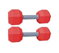 Dumbbell Toy Set - ABS 12x4.5cm 2pcs | Sensory Training Rattle Dumbbell
