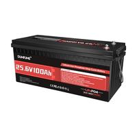 Dumfume Bateria de Litio Hierro Fosfato 24V 100Ah, BMS 100A 4000+ Ciclos - Ideal para Almacenamiento Batería Solar 24V, Conversión de Autocaravana, Sistema Solar Aislado, Aplicaciones Autónomas