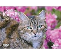 DUMONT Calendario 2024 con diseño de gato S, folleto, calendario de pared, con fechas de vacaciones escolares, formato 42 x 29 cm: con historias de gatos entretenidas