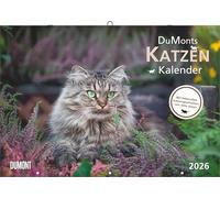 DUMONTS Calendario de gatos 2026 – Calendario mural 42×29 cm con vacaciones escolares y relatos