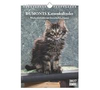 DUMONTS Katzenkalender 2027: Mit 53 Katzenporträts und Zitaten