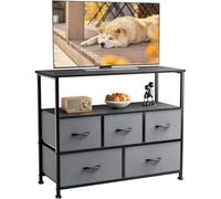 DUMOS Cómoda con cajones, cómoda y aparador para Dormitorio, Armario de Cocina con 5 cajones, Mueble de TV con Marco de Acero Estable, Ideal para Dormitorio, salón (Gris)