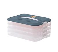 Dumpling Preservation Storage Box,4-Layer Dumpling Container For Freezer Food-grade - Clear Non-Slip Bottom Food Bin With Lid, Handle, Strong Sealing For Fresh Dumplings Timer