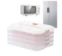 Dumpling Preservation Storage - Large Capacity, Transparent, Handheld