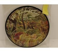 DUNCAN BROWNE - DUNCAN BROWNE the wild places, 7 inch single, picture disc, GO 329