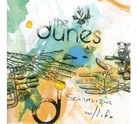 Dunes - Socializing With Life