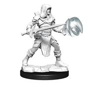Dungeons & Dragons D&D Nolzur's Marvelous Miniatures - Multiclass Fighter + Wizard Male (6 Unidades)
