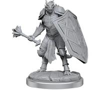 Dungeons & Dragons Nolzur`s Marvelous Unpainted Miniatures: W18 Dragonborn Clerics