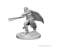 Dungeons & Dragons: Nolzur's Marvelous Unpainted Minis: Elf Male Ranger