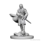 Dungeons & Dragons: Nolzur's Marvelous Unpainted Minis: Vampires