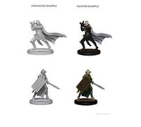 Dungeons & Dragons Pathfinder: Deep Cuts Unpainted Miniaturas: Elf Masculino Paladín