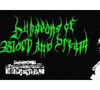 Dungeons of Blood and Dream (PC) Steam Account - GLOBAL