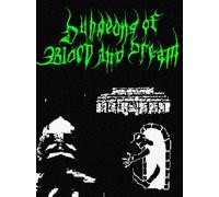 Dungeons of Blood and Dream (PC) - Steam Account - GLOBAL