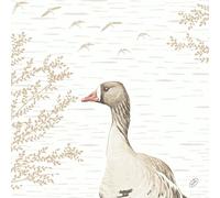 Duni Bio Dunisoft Servilletas Wood & Goose 40x40cm 60 Unidades