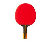 Dunlop Pala Tenis Mesa Evolution 1000