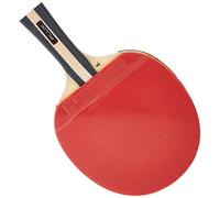 Dunlop Tenis Mesa BT Flux