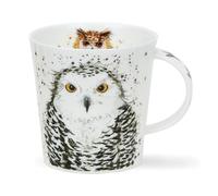Dunoon Cairngorm - Taza con diseño de búho, 0,48 l, color blanco