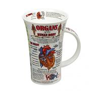 Dunoon Taza Glencoe Organs of Body 500 ml