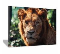 DunPei Arte de pared en lienzo con animales Un león corpulento impresión de póster,para sala de estar,dormitorio,pasillo,oficina,baño,decoración del hogar（marrón-70x100cm Enmarcado