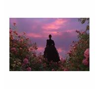 DunPei Arte lienzo, póster de arte abstracto de chica. Una mujer noble Decoración de pared con arte femenino para el hogar, para decorar el baño, sala de estar, dormitorio.（rosa-60x90cm Sin marco