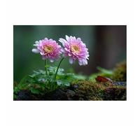 DunPei Cuadro de Impacto Extra Grande en Lienzo con Flores Abstractas, Flores exquisitas Pieza Central para una Pared Vacía en Estilo Loft（blanco-30x45cm Sin marco