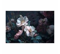 DunPei Cuadro en Lienzo con Flores Brillantes sobre Fondo Oscuro, Flores elegantes Punto Focal para un Salón con Estilo Dramático（blanco-30x45cm Sin marco