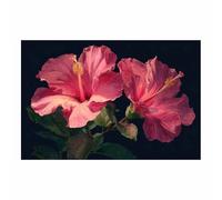 DunPei Cuadro en Lienzo con Flores en Relieve y Textura, Flores bendecidas Efecto Pincelada para un Diseño Moderno con Profundidad（púrpura-70x100cm Sin marco