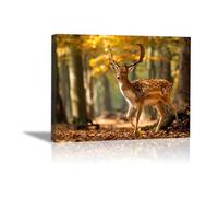 DunPei Cuadro Impresión Lienzo Pintura, Ciervos del bosque Arte Animal Pared Arte Pintura para Hogar Salón Oficina Mordern Decoración Regalo(Marrón-60x90cm Enmarcado