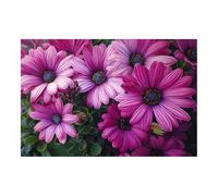 DunPei Cuadro Moderno de Flores sobre Lienzo, Flores fragantes Arte Abstracto para Decoración de Pared de Salón, Dormitorio y Baño（azul-30x45cm Sin marco