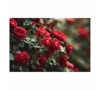 DunPei Cuadro Panorámico en Lienzo con Paisaje Floral, Flores curadas Formato Extra Ancho Perfecto para Espacios sobre el Sofá（rojo-50x70cm Sin marco