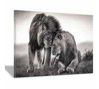 DunPei Cuadros de animales Un león rugido Impresiones en lienzo, Arte mural popular, para Sala de estar dormitorio baño pasillo Decoración del hogar（blanco y negro-50x70cm Enmarcado