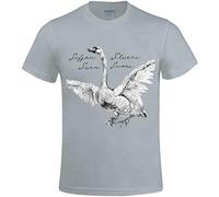 DUOduoAi Sufjan Stevens Seven Swans - Camisetas estampadas para hombre con cuello redondo, gris, L