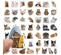Duoleimi Set de Pegatinas de Memes de Gatos Divertidos de 100 Piezas, Pegatinas para Coche, portátil, monopatín, Pegatinas de Gatos, Memes para Adultos, Pegatinas de Memes de Gatos