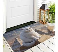 DUOTCYELE Felpudo Pirámide Gato De Pelo Corto, Alfombrillas para Interiores, Felpudo Animales Divertidos Y Peculiares Antideslizante de Perfil Bajo para Entrada Cocina Puerta Trasera, 45 x 75 cm