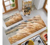 DUOTCYELE Juego De 2 Alfombras De Cocina Espigas De Espadaña Secas, Planta Bohemia, Tapetes De Cocina Antifatiga para Decoración del Hogar, Oficina, Escritorio De Pie 50x80cm+50x150cm