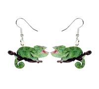 DUOWEI Pendientes acrílicos de verano con diseño de camaleón y anolis y lagarto para mujeres, amantes y regalos elegantes, Acrílico Acero inoxidable, Sin piedra preciosa