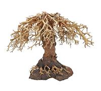 Dupla Weeping Willow 3 - Árbol de Acuario Hecho a Mano, 40 x 20 x 30 cm