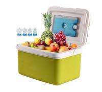 Dura | Refrigerador de Picnic Fijo portátil | 15 L de Capacidad refrigerador de Bebidas Accesorios de refrigeración para Camping, Barbacoa, Picnic