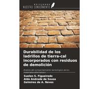 Durabilidad de los ladrillos de tierra-cal incorporados con residuos de demolición: Análisis del comportamiento tecnológico de los materiales alternativos