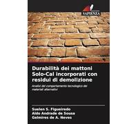 Durabilità dei mattoni Solo-Cal incorporati con residui di demolizione: Analisi del comportamento tecnologico dei materiali alternativi
