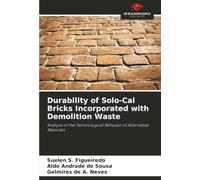 Durability of Solo-Cal Bricks Incorporated with Demolition Waste: Analysis of the Technological Behavior of Alternative Materials