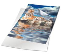 DURABLE Funda 233919 DIN A4 retrato película rígida 150 µ transparente caja 50 unidades