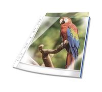 Durable 265506 Fundas multitaladro perforadas PREMIUM con borde de color A4 cristal, PP, bolsa de 25, azul