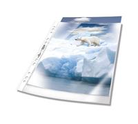 Durable 268319 fundas para folletos (DIN A4 Premium, 0.08mm) 100 piezas, transpa
