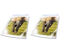 Durable Funda para folletos A4 extra ancha, 240x310 mm, 90my, transparente, 50 unidades, 999111197 (Paquete de 2)
