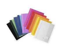 DURABLE Hunke & Jochheim Duralux® - Carpeta para documentos (tamaño A4, 280 x 332 mm, 10 colores surtidos, tapa transparente)