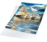 Durable Transparent Document Pockets A4 Rigid Plastic Wallet with Thickness of