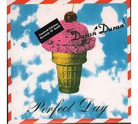 Duran Duran - Perfect Day 7 Inch (7" Vinyl 45) UK Parlophone 1995